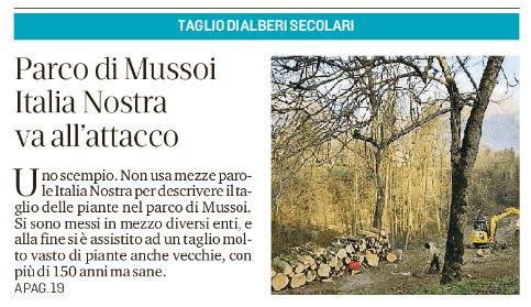 Taglio alberi Parco di Mussoi