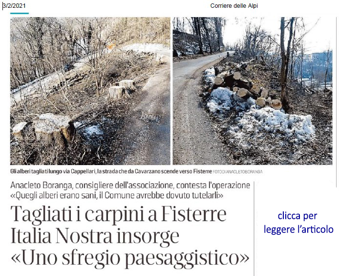 CdA  Taglio dei carpini a Fisterre