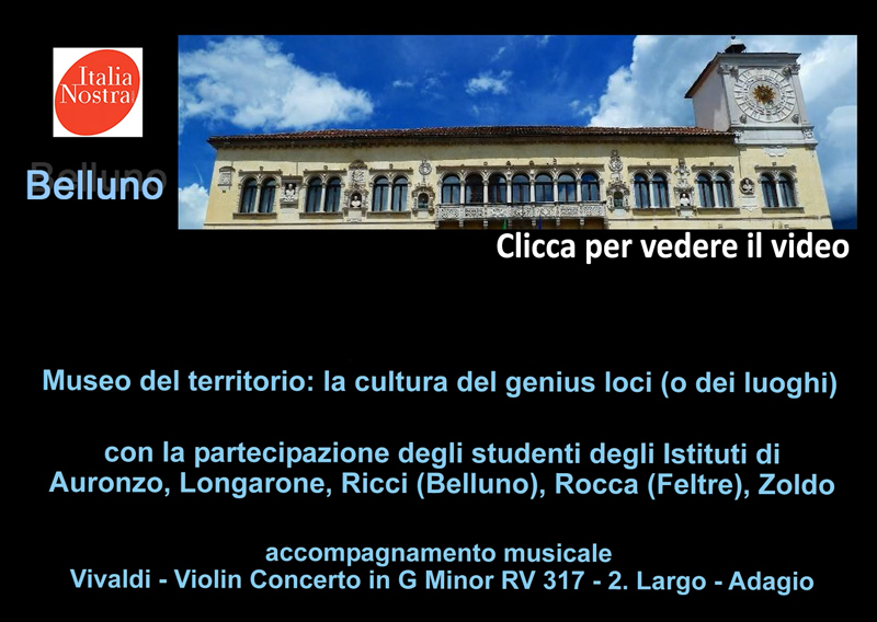 video musei - genius loci