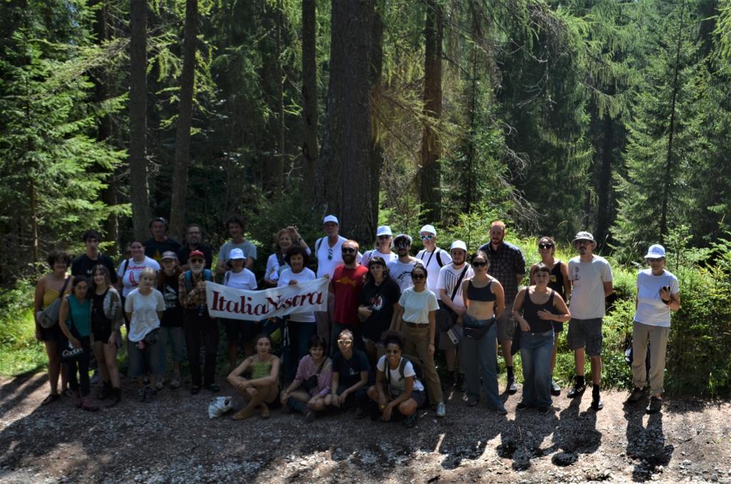 Salviamo il lariceto di Ronco - Cortina