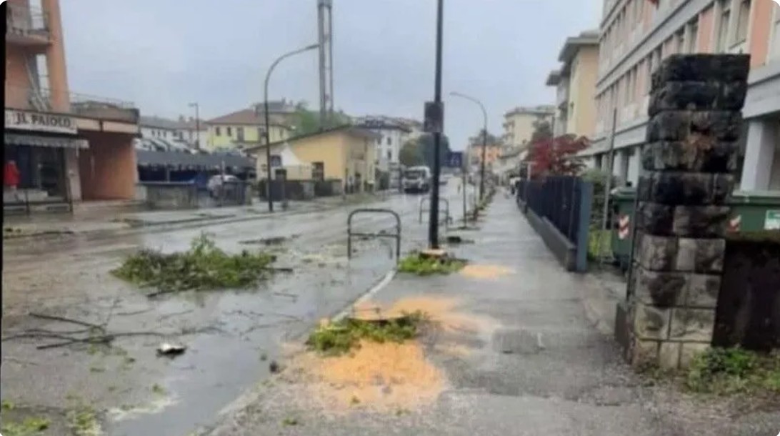taglio degli alberi in via Feltre Belluno 13 aprile 2026