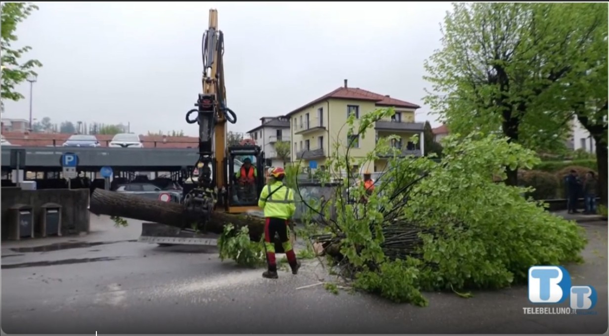via Feltre servizio TB